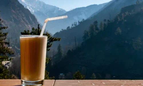 kasol-1000-400-mrsinghcab (5)